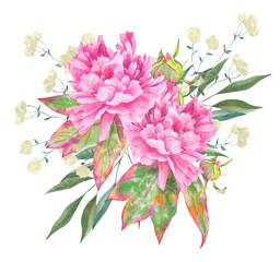 Watercolor hand drawn illustration of a lush peonies flower. Large pink peony painted in watercolor. Perfect for wedding, birthday, seasonal holidays.