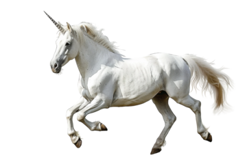 Majestic unicorn standing tall isolated on transparent background