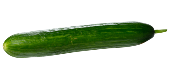 Fresh smooth green cucumber on isolated background