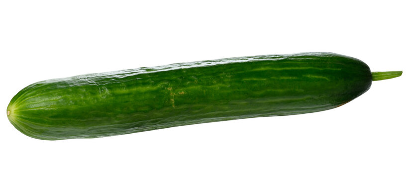 Fresh smooth green cucumber on isolated background