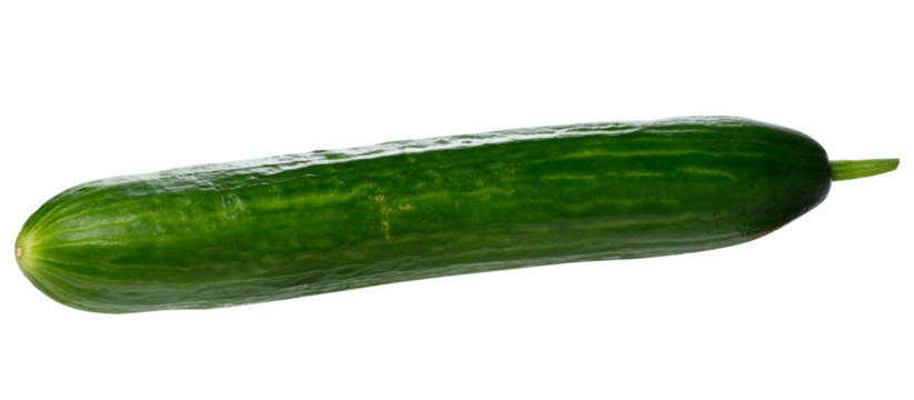 Fresh smooth green cucumber on isolated background