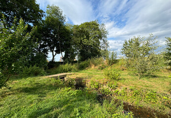 A serene landscape features lush greenery and a small wooden bridge over a stream under a partly cloudy sky. Trees provide shade, creating a tranquil natural setting in, Lower Hopton, Mirfield, UK