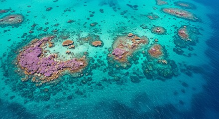 Obraz premium A bird’s-eye view of a vibrant coral reef in crystal-clear turquoise waters, teeming with marine life