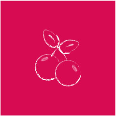 White cranberries outline 