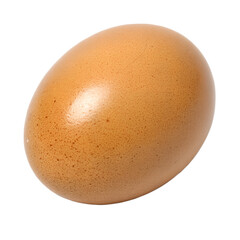 egg isolated on white background
