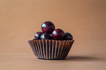A herd of gypsum black bison stand in a circle. Abstract background isolated figures for interior. High quality photo