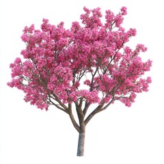 Naklejka premium Spring tree flowers nature illustration.