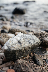 Close-Up of a Fossilized Shell in Natural Stone in an antique bay Phaselis, Antalya, Turkey. The ancient mollusk is beautifully preserved.