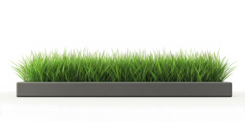 Vibrant Green Grass on a Stone Curb: A Nature Close-Up 
