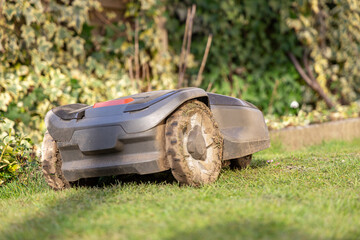 robot lawn mower mows grass on the site on a sunny day, automatic lawn mower works at any time of the day, lawn mower for grass carefully mows grass.