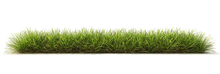 Meadow grass row prairie cutout transparent background 3d rendering png file 
