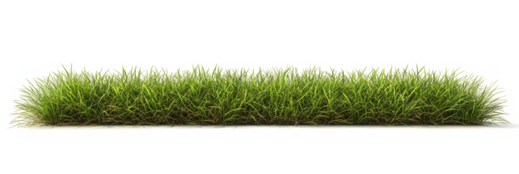 Meadow grass row prairie cutout transparent background 3d rendering png file 
