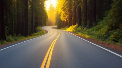 Fototapeta premium Scenic winding road through vibrant forest, morning sunlight casting warm glow, perfect for travel themes or outdoor adventures.