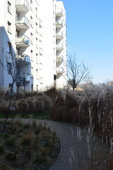 cereals in the landscape