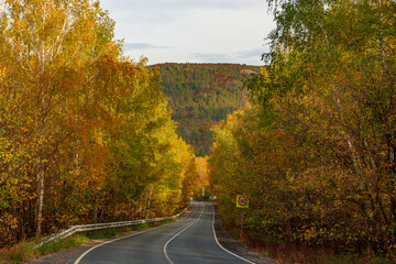 Golden Autumn in the Samarskaya Luka National Park, near the village of Shiryaevo!