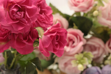 Smoke Close-up Selective soft focus cream pastel color Rose flower bud bouquet. Nature blur green, pink beige natural abstract garden background.