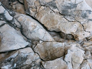 Natural rocky surface with intricate patterns and textures in beige tones, beauty of geological formations