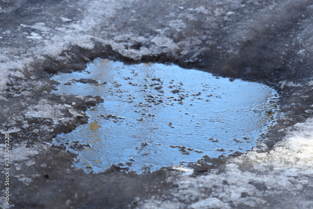Poster a small pool of water sits on the snowy surface, potentially forming as a result of melting ice or r