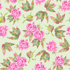 Pattern of watercolor hand-drawn illustrations of lush peony flower and peony leaves. Seamless pattern of large pink peonies and leaves, painted in watercolor. Perfect for wedding, birthday, seasonal 