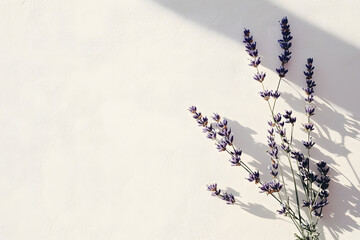 Tropical bright background with exotic painted lavender creating shadow. Minimal fashion summer concept. Flat lay.
