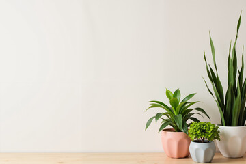 Fototapeta premium Potted plants creating a cozy atmosphere in a minimalist interior design with a wooden desk and white wall