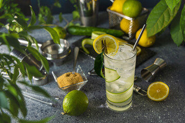 Bartender preparing refreshing cucumber lemonade cocktail with metal straw