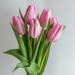 Obraz premium Elegant pink tulip bouquet
