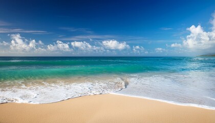 Fototapeta premium tropical sea beach with beautiful sand and waves in summer