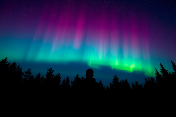 Naklejka premium Aurora borealis, night sky, colorful lights, silhouette forest, vibrant pink and teal, starry night, cosmic phenomenon, magical atmosphere, northern lights display, dark landscape, ethereal glow, 