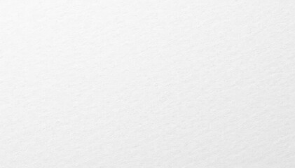 Textured white cardboard Slightly grainy, off-white tone , craft paper, art
