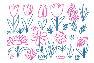 Flowers and leaves crayon drawn set. Spring tulip, daisy, chamomile and marguerite plants doodle. Summer floral kids floral shape. Vector pencil illustration isolated on white background.