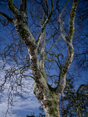 Edinburgh, Scotland, United Kingdom