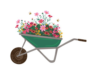 Garden wheelbarrow with flowers. Vector isolated illustration. Design element