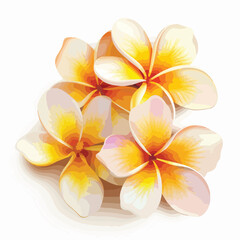 Fototapeta premium Elegant Frangipani Flower Vector Background