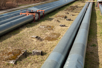 Above-ground industrial pipelines running over grassy ground. Part of a utility system for...