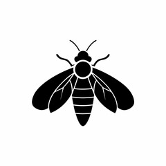 creative details Firefly Icon vector illustration