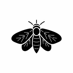 creative details Firefly Icon vector illustration