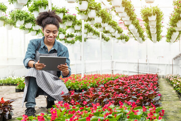 Industrial greenhouse. Smiling african american girl with smart watch typing on tablet at multicolored flowers plantation, free space