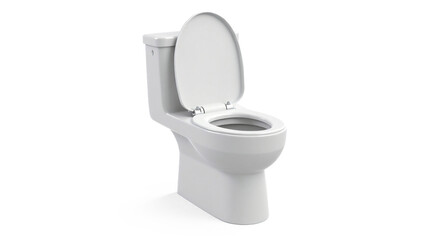 toilet bowl 