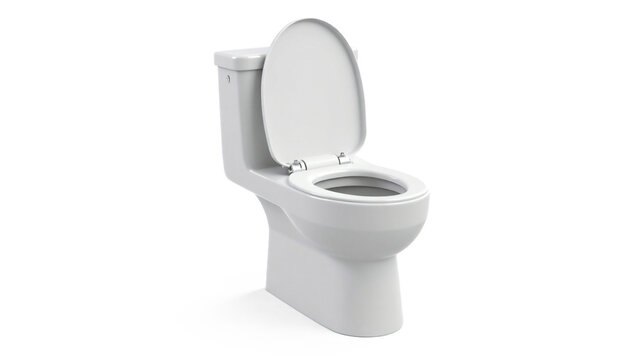 toilet bowl 