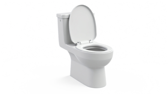 toilet bowl 