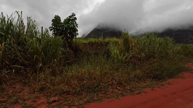 Dirigindo por estrada rural na cidade de Resplendor, Estado de Minas Gerais, Brasil