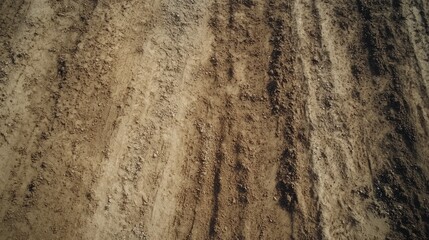 Aerial view of tire tracks on dry field, background blurred