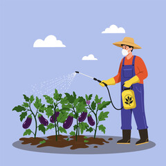 Farmer Spraying Eggplant Plants with Liquid Pesticide for Crop Protection