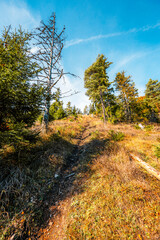 Liptov region Hiking in Tatras mountains to autumn cerenova rock view near Liptovsky Mikulas , slovakia.