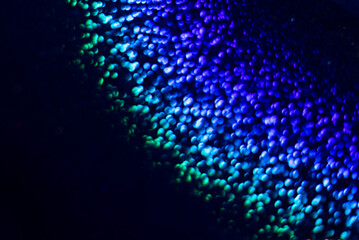 sparkling shiny paper bokeh rainbow glitter prism effect sequins wallpaper backdrop background colorful navy blue sunshine glimmer shine girly spangle dots shimmer shimmering glisten gleam