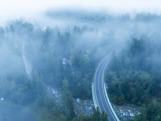 Aerial top view of trees in mist forest with mountain river in Slovakia. Drone