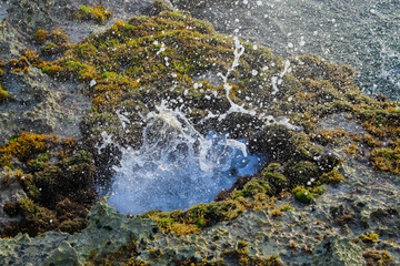 Action of water being forced through a blowhole in coastal rock, creating a spray or geyser effect...