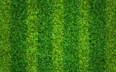 Grass texture. Green sport field concept. Striped lawn for soccer or football. Fresh eco background. Grass carpet with stripes top view. Vector illustration.