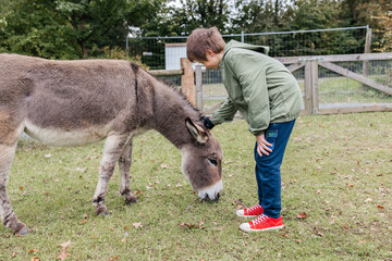 Teenage boy petting a donkey